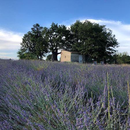 Cabanon Du Berger Villa Saignon Kültér fotó
