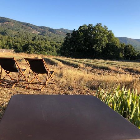 Cabanon Du Berger Villa Saignon Kültér fotó